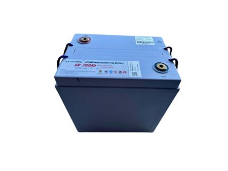 Ắc quy Lvtong 6V-200Ah